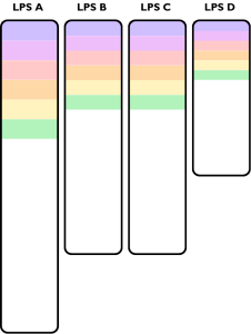 Schéma Formation EES(11)